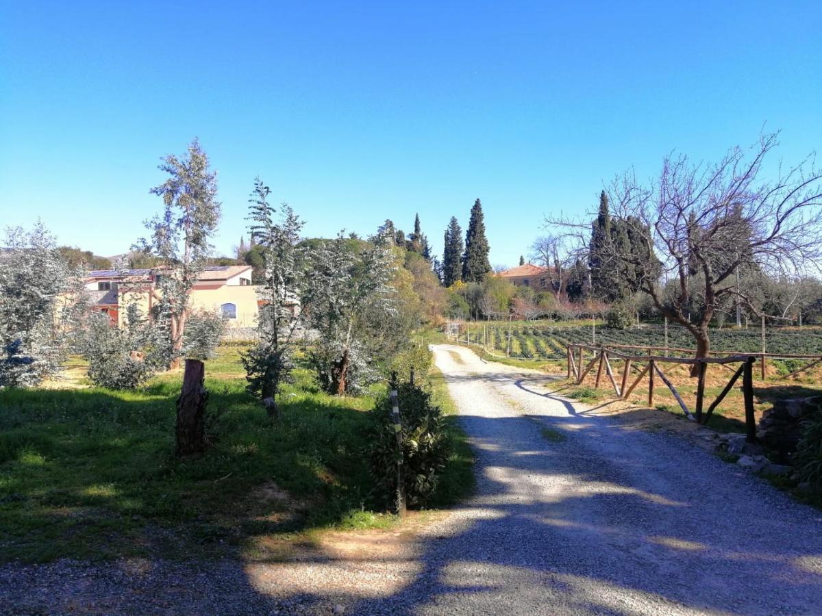 Vila Nonna Litta Albenga Exteriér fotografie